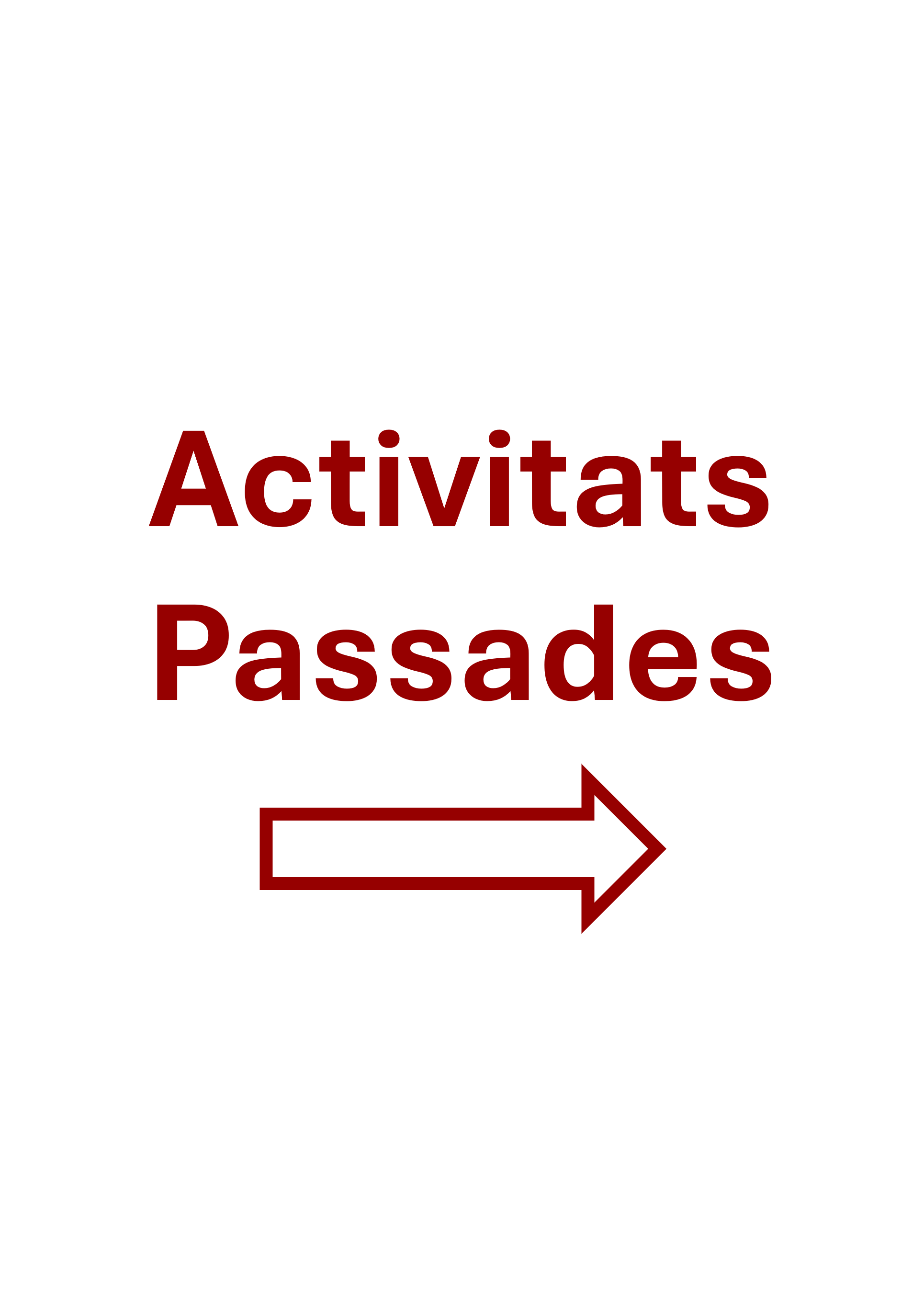 Activitats passades