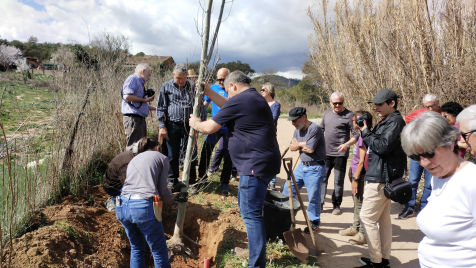 Festa de l'arbre 19 de març 2023
