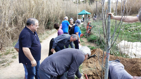 Festa de l'arbre 19 de març 2023