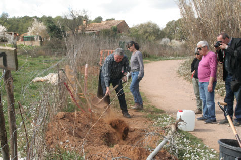 Festa de l'arbre 19 de març 2023