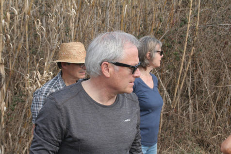 Festa de l'arbre 19 de març 2023