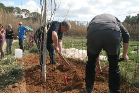 Festa de l'arbre 19 de març 2023
