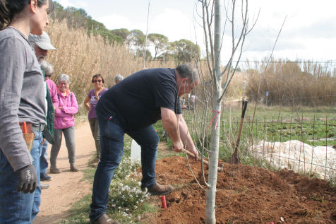 Festa de l'arbre 19 de març 2023