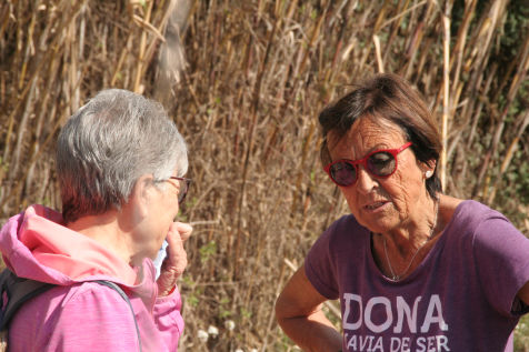 Festa de l'arbre 19 de març 2023