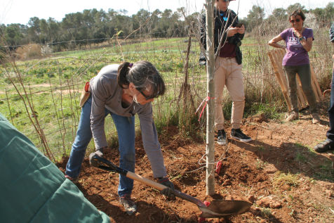 Festa de l'arbre 19 de març 2023