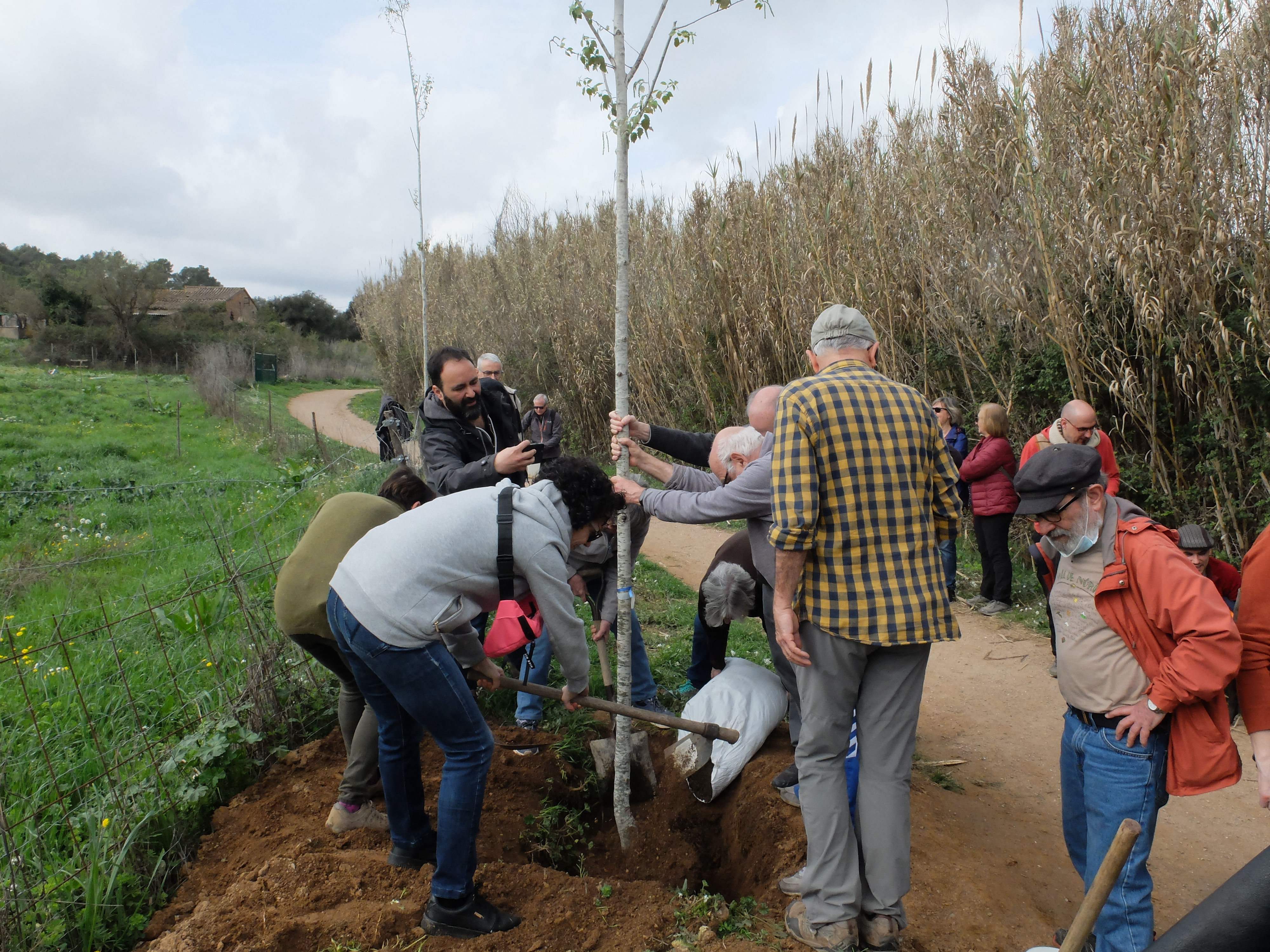 La cuinera i les paelles